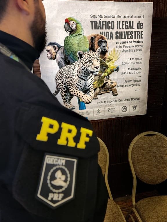 PRF Participa da II Jornada Internacional Sobre Tráfico Ilegal de Animais Silvestres em Puerto Iguazú