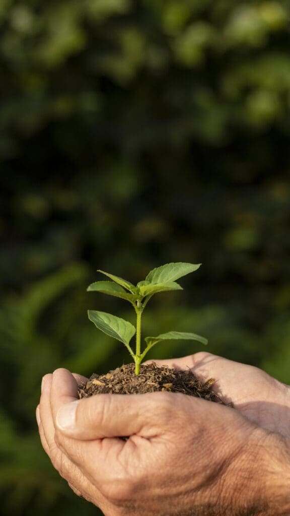 Sugestões sobre mudança climática poderão ser enviadas ao Ministério das Cidades