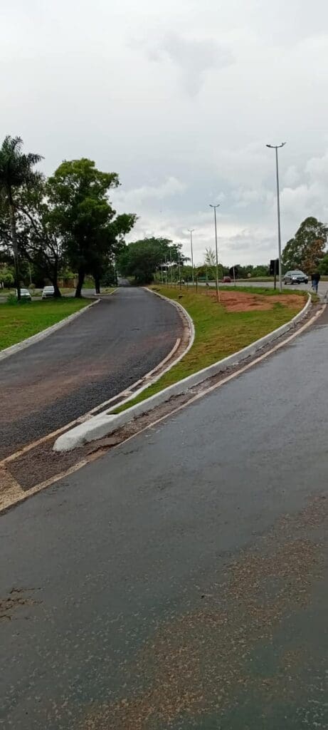 Três Marias conclui pintura de canteiros e plantio de mudas de ipês na revitalização da entrada da cidade