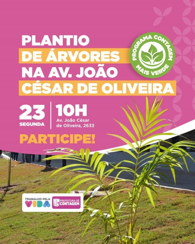 Contagem lança Programa de Arborização Urbana na segunda-feira (23/12)