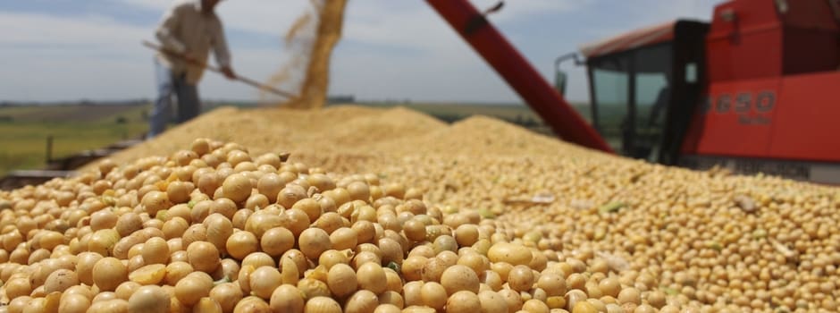 PIB de Minas Gerais cresce 1,2% e soma R$ 305,4 bilhões no segundo trimestre de 2025