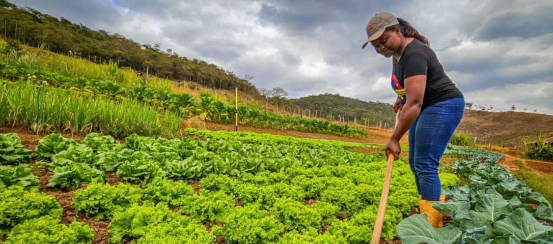 Idene participa de seminário e reforça parcerias estratégicas para a agricultura familiar