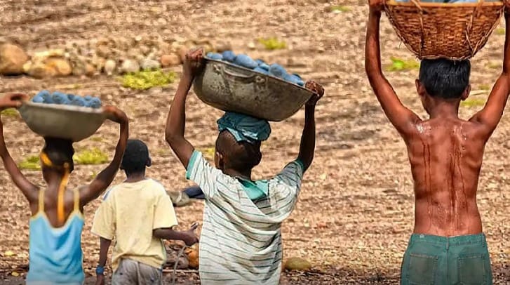 Brasil registra queda histórica no número de crianças e adolescentes nas piores formas de trabalho infantil