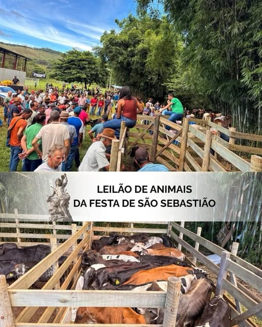 Itambé do Mato Dentro realiza tradicional leilão de animais na Festa de São Sebastião