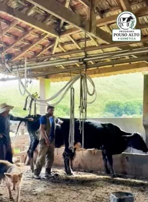 Pouso Alto conclui primeira etapa do Programa Pouso Alto + Genética com visitas a 27 propriedades rurais