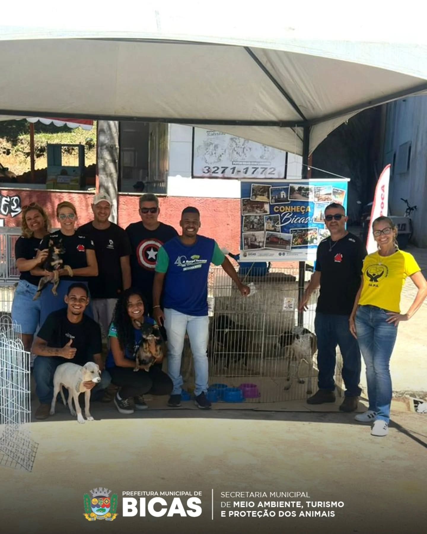 Evento de adoção leva cães e gatos a novos lares em Bicas