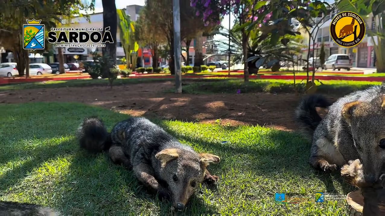 Sardoá promove exposição sobre fauna brasileira durante o Mês do Meio Ambiente
